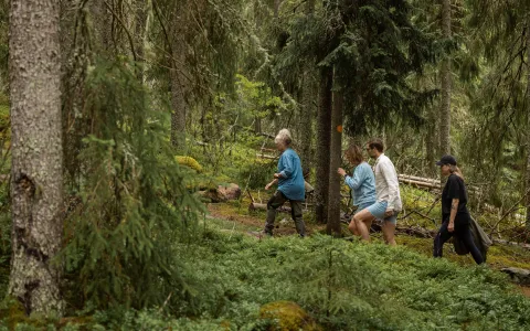 Guide med gäster i skogen.